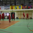 halowa4 38